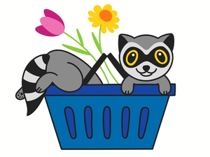 Buyer's Guide and FAQs