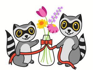 Setup, Usability, and Features